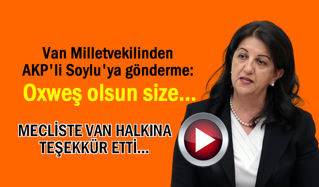 Van Milletvekilinden AKP'li Soylu'ya gönderme: Oxweş olsun size…
