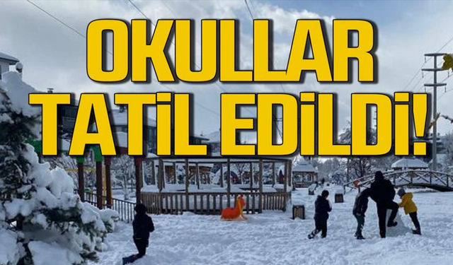 Hakkari ve ilçelerinde okullar tatil edildi!