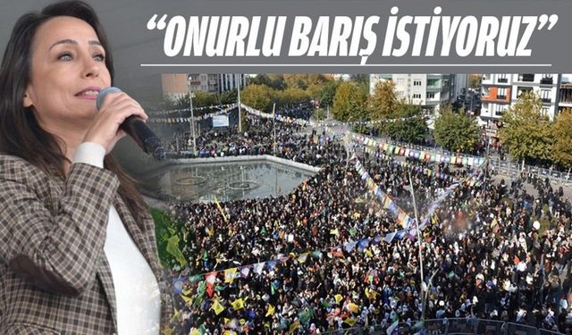 DEM Parti Eş Genel Başkanı Hatimoğulları, Batman mitinginde konuştu