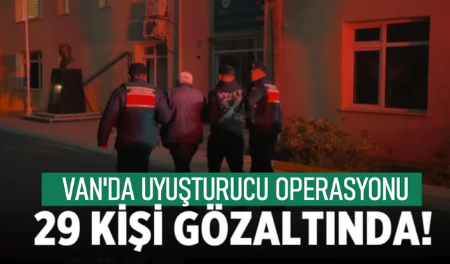 Van'da 29 kişi gözaltına alındı