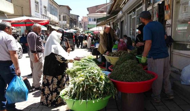 Dağlardan toplanan otlar hem şifa hem kazanç sağlıyor