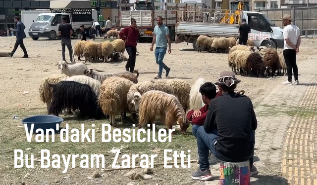 Van’da besiciler kurban bayramında zarar etti