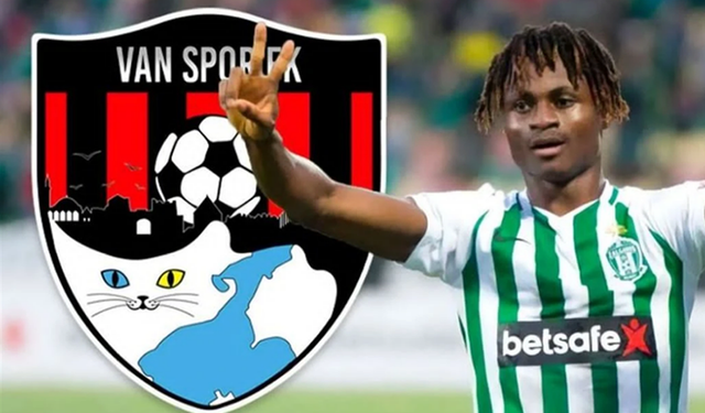 Vanspor'un ilk yabancı transferi Mathias Oyewusi