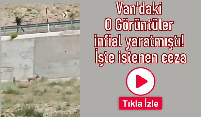 Van'da ceylan avlayan kişiye 20 bin 119 lira ceza