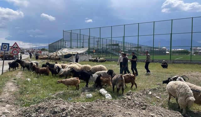 Tuşba Belediyesi Kurban Bayramı Hazırlıklarını Tamamladı