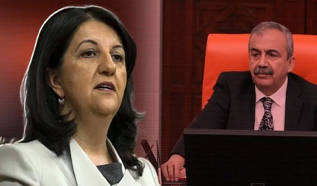 Van Milletvekili DEM Parti Meclis Başkanvekili Oldu