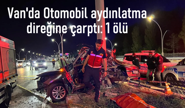 Van'da aydınlatma direğine çarpan sürücüsü hayatını kaybetti