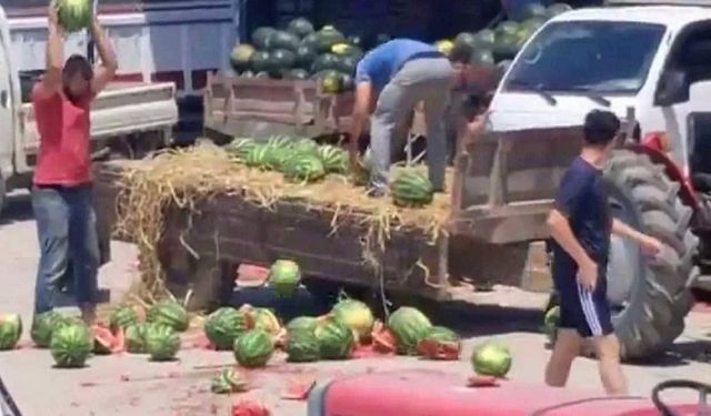 Karpuzları yere atan üreticilere soruşturma başlatıldı