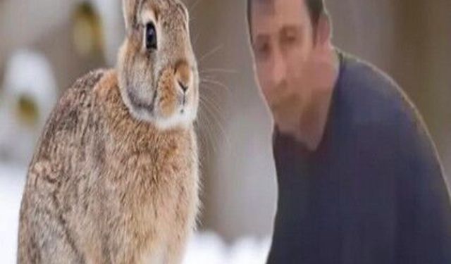 Tavşan Avcılığı: Bir Kişinin Canına Mal Oldu...
