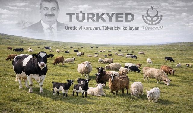 TÜRKYED Genel Başkanı Çelik: 'Sektör Hedefi 90 Milyon...'