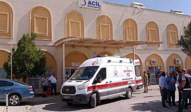 Üç çocuk annesi silahla vurulmuş şekilde ölü bulundu