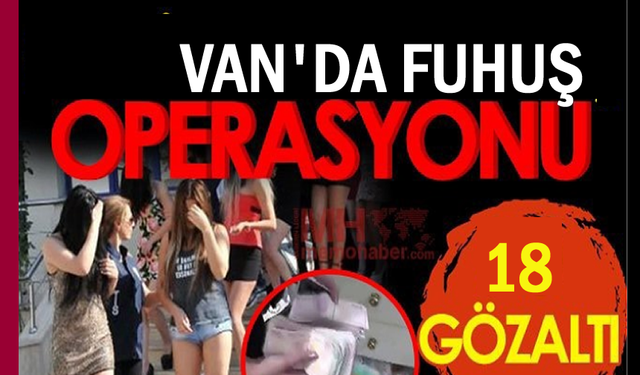 Van'dan Kocaeline uzanan operasyon : 18 Gözaltı