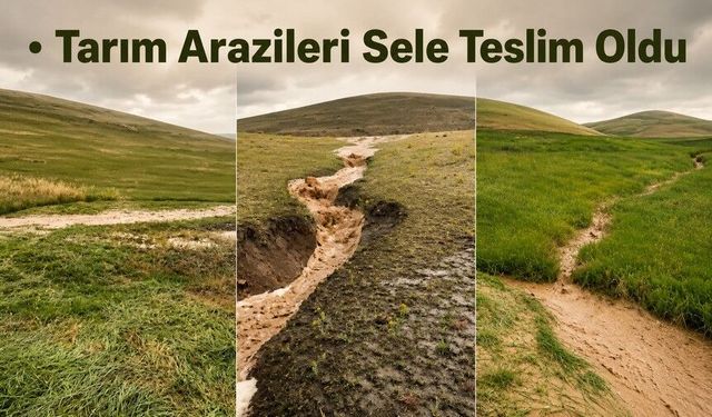 Van Özalp'ta Sel Tarım Arazilerini Vurdu