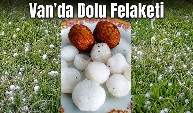 Ceviz Büyüklüğündeki Dolu Özalp ve Saray’ı Vurdu