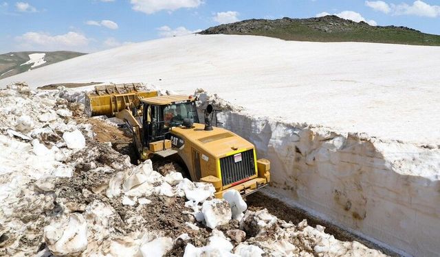 Van Norduz Yaylası: Haziran’da 3 Bin 800 Rakımda Mesai