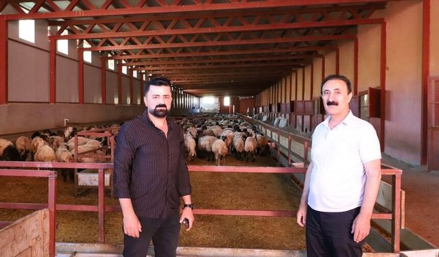 Nayif Süer: Van Hayvancılığına Pazar Şart