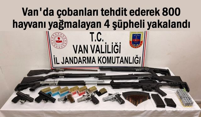 Van'da 800 hayvanı yağmalayan 4 şüpheli yakalandı