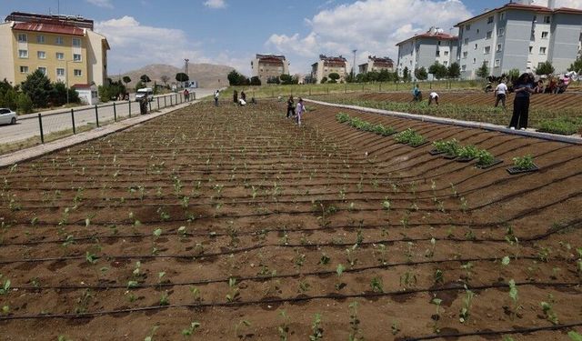 Belediye'den kadın kent bostanı projesi