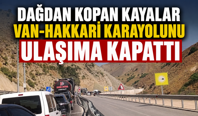 Van-Hakkari karayolu'nda kaya düşmesi: Ulaşım durdu