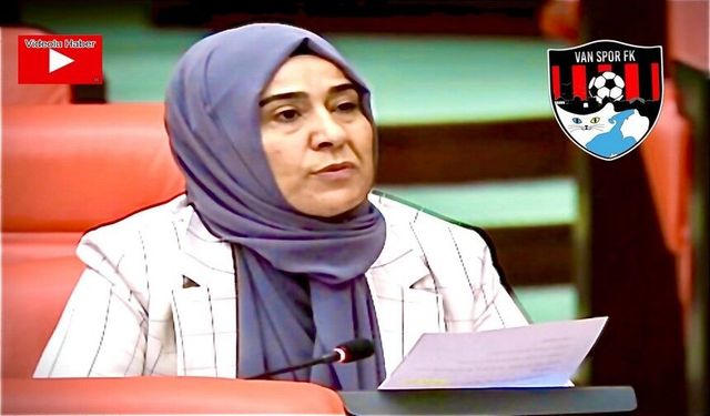 DEM'li Varlı, Vanspor'un stat sorununu Meclis'e taşıdı
