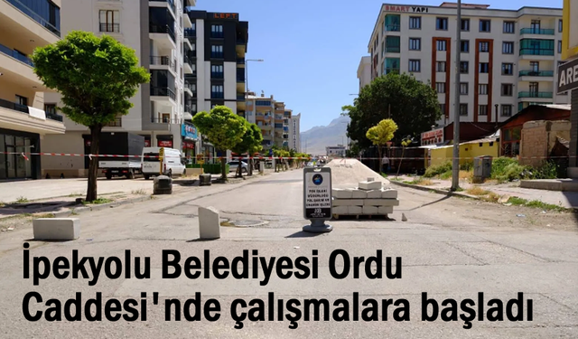 İpekyolu Belediyesi Ordu Caddesi'nde çalışmalara başladı