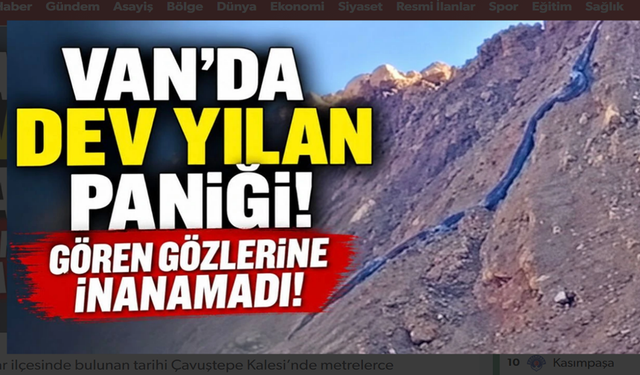 Van’da metrelerce uzunlukta yılan görüldü