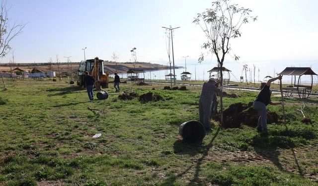 Van’da Mavi Bayraklı Halk Plajı için yeşil dönüşüm