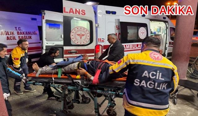 Van-Hakkari yolunda minibüs dereye uçtu: 20 yaralı