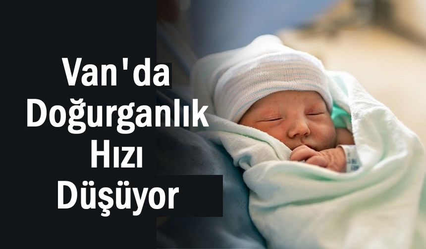 Van ve Bölgede Doğurganlık Hızı Düşüyor