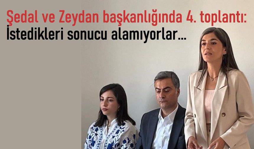 Eşbaşkanlar Zeydan ve Şedal: İstedikleri sonucu alamıyorlar