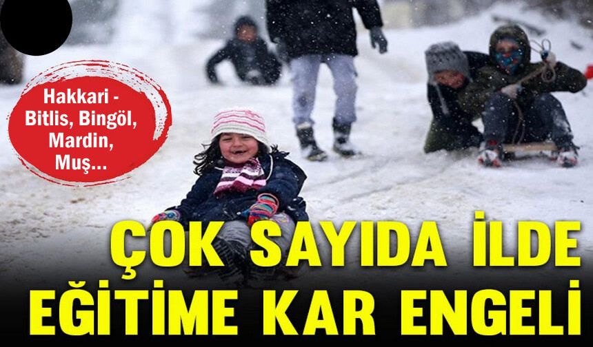 Kar yağışı nedeniyle 13 ilde eğitime ara verildi