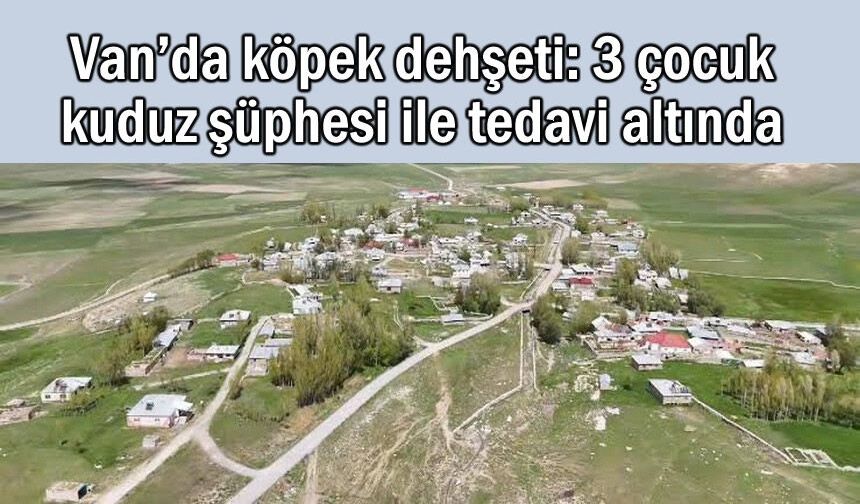 Van’da köpek saldırısı: 3 çocuk kuduz şüphesi ile tedavi altında