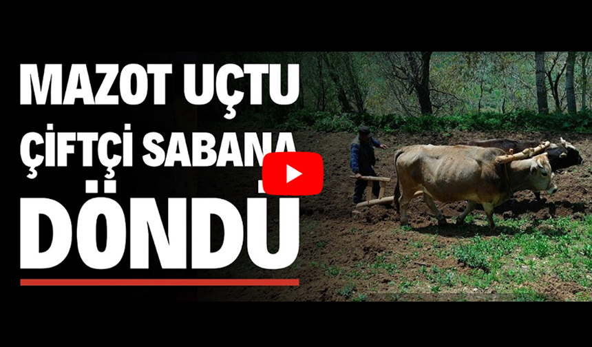 Vanlı Çiftçi: 21. yüzyılda halimizi görüyorsunuz