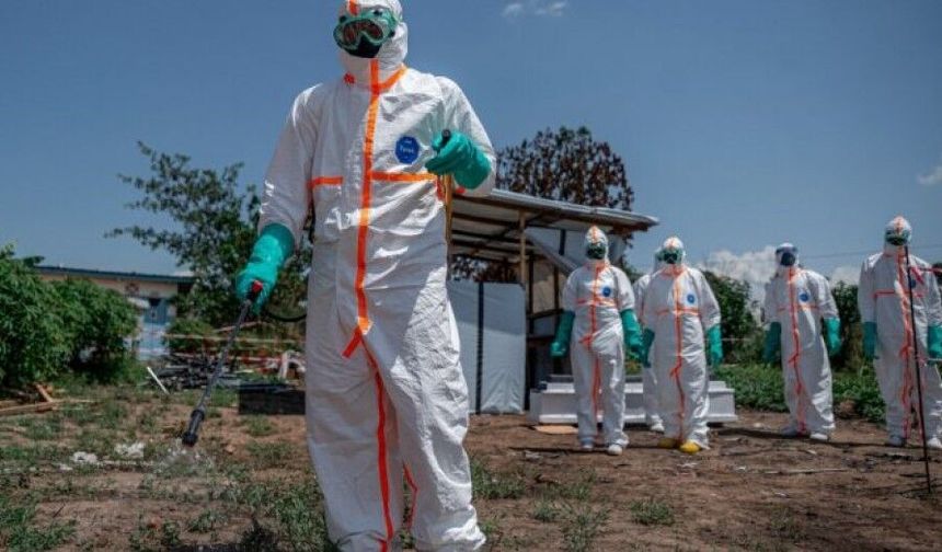 Ebola salgını: 702 kişi hayatını kaybetti
