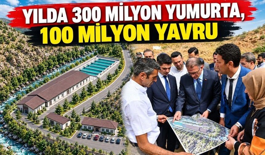Van’a Avrupa’nın sayılı alabalık tesisi kuruluyor