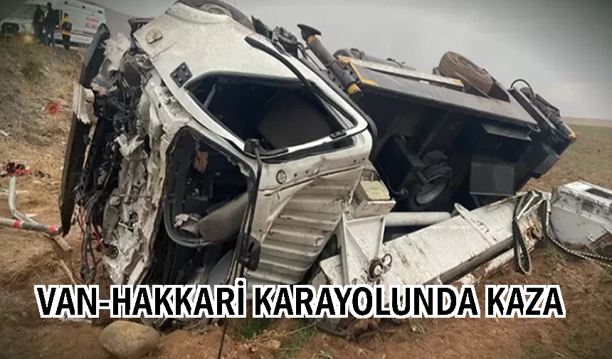 Van-Hakkari kara yolunda kaza: 12 yaralı