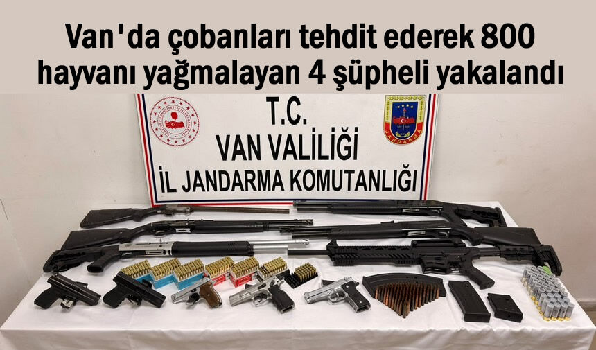 Van'da 800 hayvanı yağmalayan 4 şüpheli yakalandı